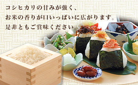 569 コシヒカリ 2kg ファームランドさいとう