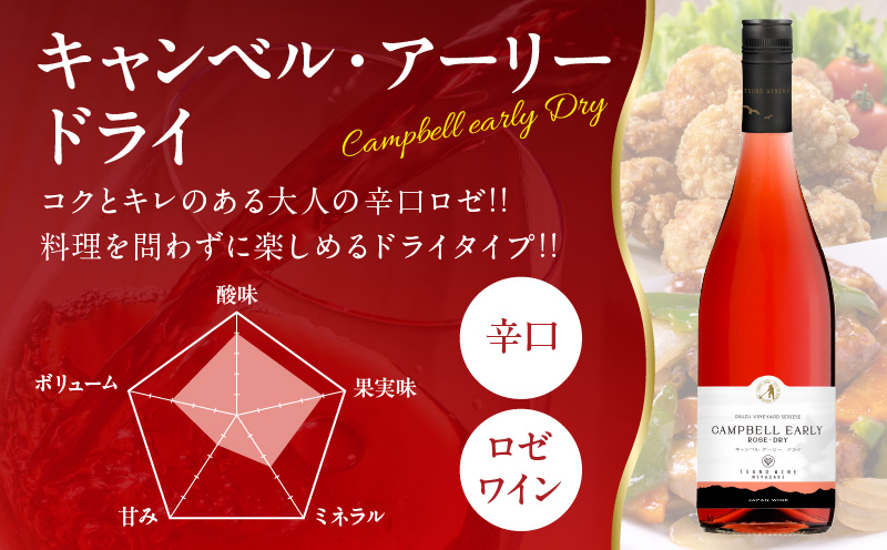都農ワインセレクトセット(合計3本) 酒 飲料 アルコール 国産_T014-001