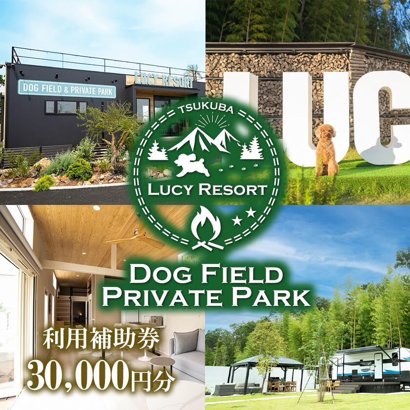 【ふるさと納税】LUCY RESORT(ルーシーリゾート)利用補助券 30,000円分 | 茨城県 つくば市 体験 チケット ドッグラン BBQ バーベキュー グランピング ペット 宿泊