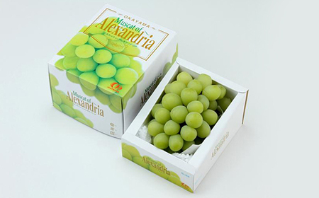 岡山県産 ぶどう定期便 全3回