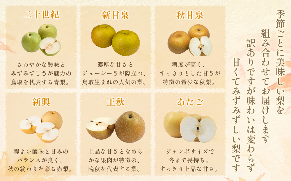 先行予約 訳あり 鳥取県産旬の梨セット 3kg｜鳥取 果物 フルーツ なし 梨【41045】