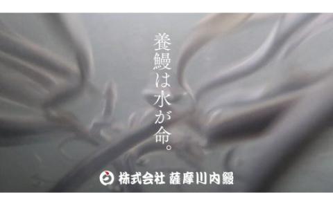 うなぎ肝の佃煮缶詰 60g×4個_ss0271