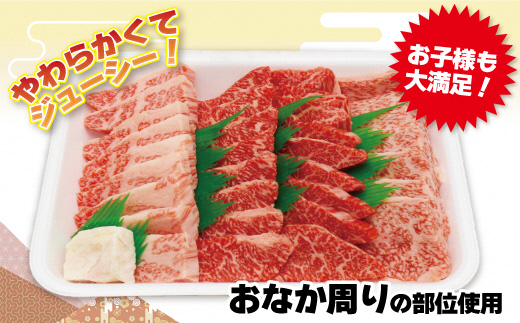 JAむなかたよりお届け！博多和牛焼肉用600g【ほたるの里】_HA0952