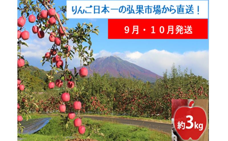 
            【9月・10月発送】家庭用 早生ふじ 約3kg【西目屋村産・青森りんご】 りんご 林檎 リンゴ 果物 フルーツ くだもの 旬 青森県産 お取り寄せ 詰め合わせ セット 常温 産地直送 送料無料 青森県 西目屋村
          