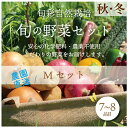 【ふるさと納税】都内マルシェで人気のお野菜！ 秋冬 旬の野菜セットMサイズ(7～8品) F21R-212