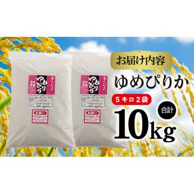 ふるさと納税 恵庭市 「恵庭産たつやのゆめぴりか」10kg(5kg×2袋)【56000102】 |  | 01