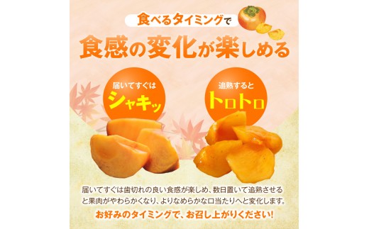 【先行受付】 訳あり 富有柿 5kg こねり柿園自慢の富有柿 KNR0808