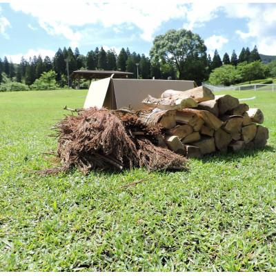 ふるさと納税 湯前町 球磨産薪20kg(焚付け用杉葉入り) | 