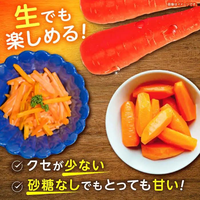 ※【2027年1月上旬より順次発送／先行予約】真っ赤なにんじん「紅天神」10kg AHCU002 にんじん