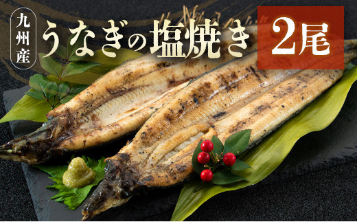 
うなぎの塩焼き 2尾 合計320g以上 九州産【C403】
