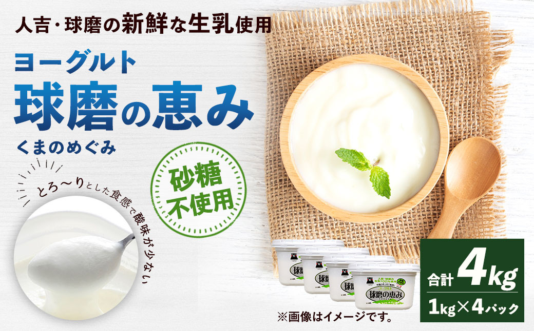 
                  球磨の恵み ヨーグルト 砂糖不使用 1kg×4パック 乳製品 生乳 朝食 おやつ 相良村  
                