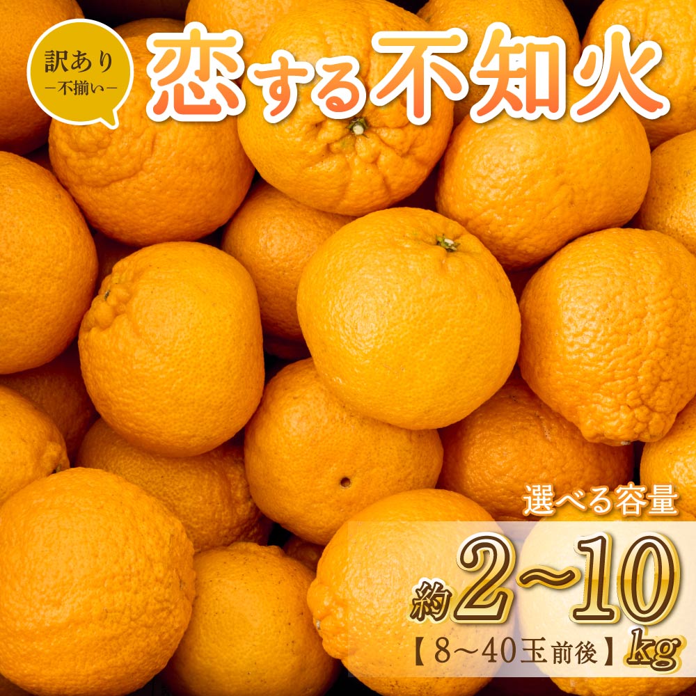 【ふるさと納税】【先行予約】訳あり 不知火 恋する不知火 選べる容量 （約2kg/7.5kg/10kg） 8～40玉 【2025年4月上旬から2025年6月下旬発送予定】 御舩果樹園 わけあり 不揃い しらぬい 柑橘 宇城市 熊本県産