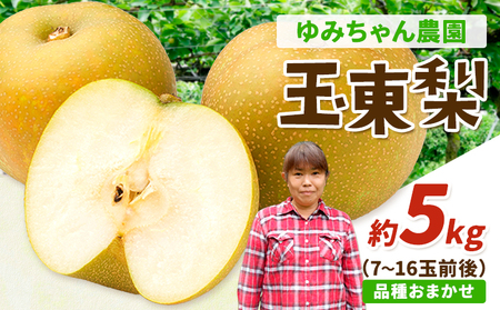 玉東梨 約5kg ゆみちゃん農園 梨