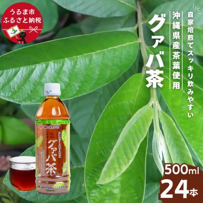 ふるさと納税 うるま市 グァバ茶ペットボトル500ml(24本入り 1ケース) | 