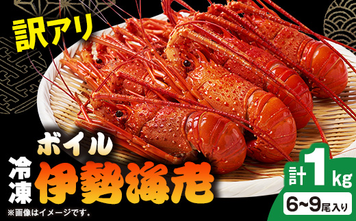 
                  訳アリボイル伊勢海老1kg(約6-9尾入り)【1743639】
                