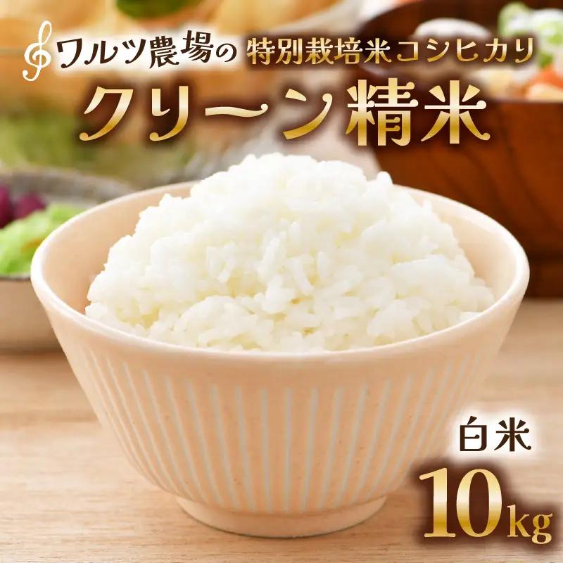 【先行予約】【令和8年産 新米】ワルツ農場のコシヒカリ クリーン精米 10kg（5kg×2袋） 特別栽培米【納得の美味しさ】減農薬 有機肥料使用 / お米 ご飯 白米 発送直前 精米 つや 艶 甘味 旨み 北陸 あわら市産 福井県産 ブランド米 ※2026年10月下旬以降発送予定 [aw046-b004]