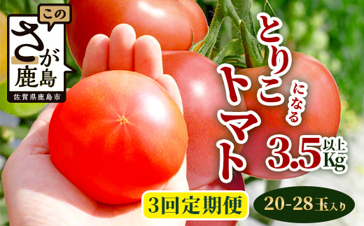 【3回定期便】【先行受付】2026年12月下旬より順次発送予定 とりこになるトマト 3.5kg以上 農家直送 佐賀県鹿島市 たにぐちファーム Ricotomato（リコトマト）～とりこになるトマト～ C-84