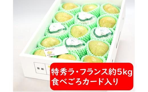 
            【令和7年産先行予約】 ラ・フランス 約5kg (15～18玉 特秀 2～4L) 《令和7年11月～発送》 『たけひさ農園』 ラフランス 西洋梨 洋なし 果物 フルーツ デザート 山形県 南陽市 [1088-1]
          