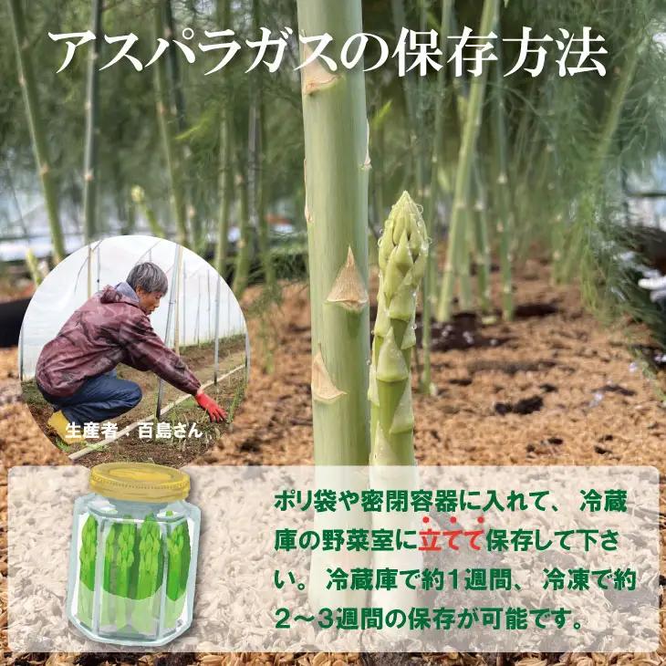 採れたて新鮮！アスパラガス（2kg）百島農園 生産者直送 野菜 B120-089