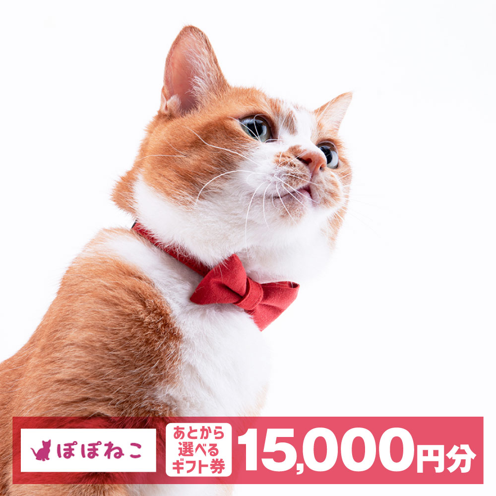 【ふるさと納税】ぽぽねこギフト券（封筒タイプ）15,000円分「共通返礼品」 金券 商品券 猫 ネコ 首輪 迷子札 鈴 ハーネス リード ペット用服 猫用服 猫服 保護服 エリザベスカラー ペット ペット用品