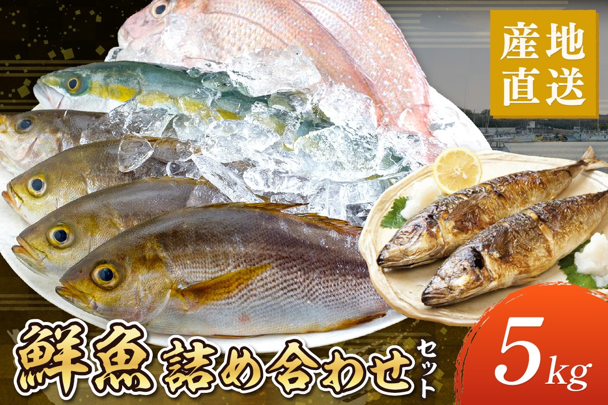 
                  御坊産　鮮魚セット5kg 鮮魚 天然 詰め合わせ 朝どれ 冷蔵 新鮮 アジ サバ タチウオ 太刀魚 タイ 漁港 和歌山県産 御坊産 送料無料【配送不可地域】沖縄・北海道・東北・九州
                