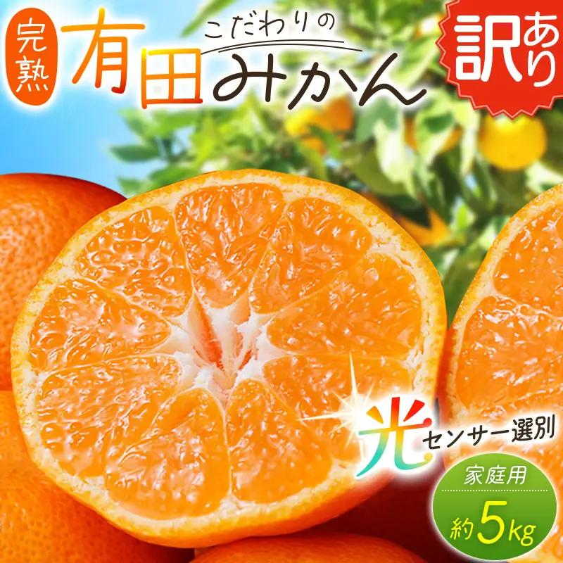【訳あり】有田みかん 約5kg ご家庭用 サイズ混合【nuk161E】