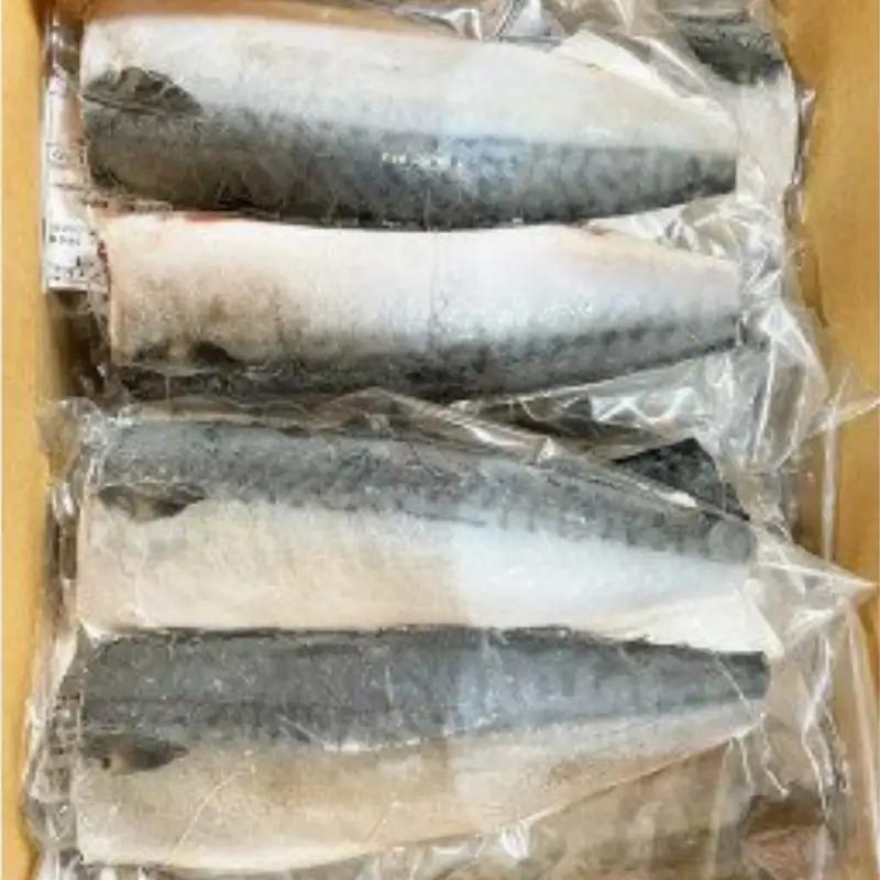 塩さばフィレ 24枚入(真空パック入)/さば サバ 鯖 フィレ 切り身 切身 魚 海鮮 焼き魚 おかず【uot742B-1】