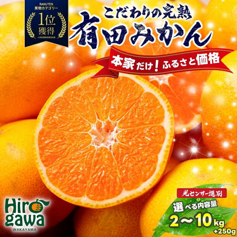 こだわりの有田みかん10kg 発送時期指定OK