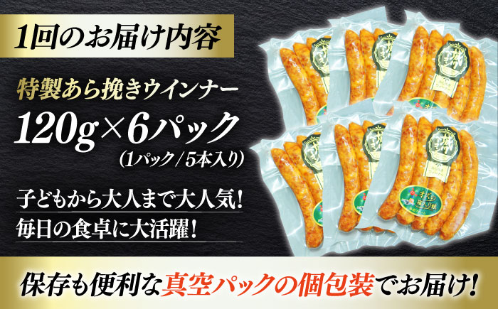 【全6回定期便】秒でプラスもう一品！ブランドポーク『オズの箱入り娘』使用！特製ウインナー（5本入り）×6袋 合計720g 豚肉 小分け ベーコン プレゼント 愛媛県大洲市/株式会社オズメッセ [AGA