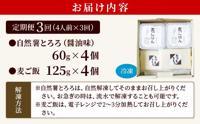 ＜定期便・全3回＞味付け不要！本格自然薯麦とろセット（4人前）|自然薯 じねんじょ とろろ 山芋 やまいも 長芋 ながいも ご飯のお供 山葵 ワサビ おつまみ 酒の肴 山かけ 麦とろ そば うどん 鉄