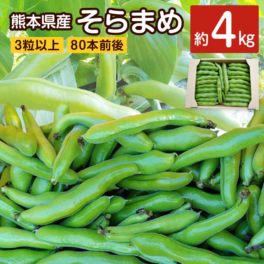 【ふるさと納税】熊本県産 そらまめ 約4kg 3粒以上 80本前後 そら豆 ソラマメ 空豆 野菜 やさい ベジタブル ゆでまめ おつまみ 国産 九州産 水俣市産 送料無料【2026年4月上旬‐4月下旬迄発送予定】