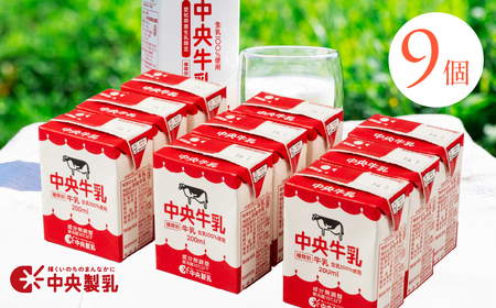 牛乳 200ml×6本 牛乳 中央製乳