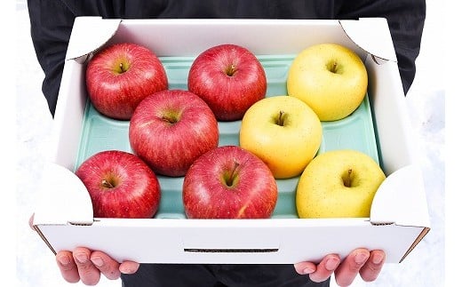 《農家直送》りんご 2種類 食べ比べ「サンふじ・シナノゴールド」 秀品 3kg（8～10玉） 山形県産 【2025年12月上旬頃～下旬頃発送予定】　012-B-HK006
