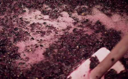 No.560 秩父ブラン　秩父市収穫（白ワイン）