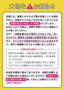 期日指定OK！『殻付き牡蠣（生食用）』15個 「3年育成ものの大粒」【 三陸産 広田湾産 小友 天然 牡蠣 かき 殻付き 人気 国産 生食 】