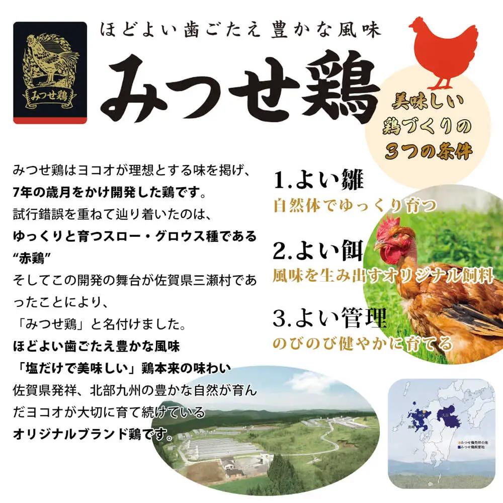 生チキ【みつせ鶏プレーン味】鶏生ウインナー 計10本（各40g×5本×2P）/ ソーセージ ウインナー BBQ  / 佐賀県 / 山代ガス株式会社 旬菜舎さと山[41AABM053]
