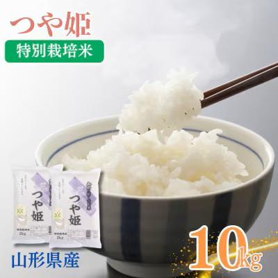 ふるさと納税 南陽市 令和7年産　山形県産　特別栽培米　つや姫 5kg×2袋(精米)(10月下旬以降)【S2405】