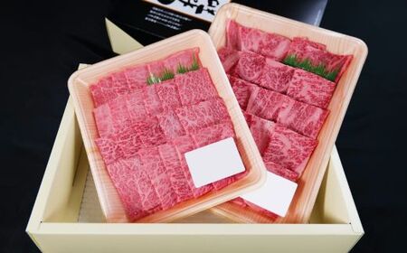 しまね和牛 焼肉用2種食べ比べセット（肩ロース、モモ）800g 【黒毛和牛 おすすめ 冷凍 和牛オリンピック 肉質NO.1】