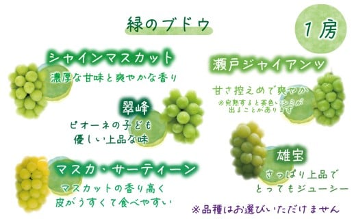 【2026年の先行予約】 岡山 花笑み農園『彩り３種セット』贈答用（1.8kg） 3M-2上 / ぶどう 詰め合わせ 食べ比べ シャインマスカット ピオーネ クイーンニーナ 岡山 真庭市 【hana0