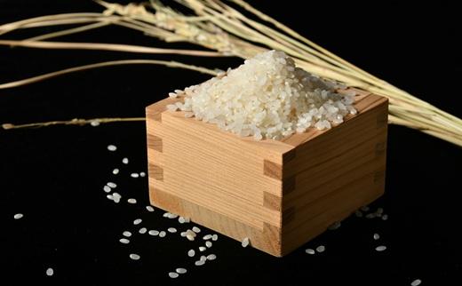 コシヒカリ＜特別栽培米＞精米 10㎏（減農薬 有機肥料 お米 米 おこめ こめ 白米 こしひかり 令和7年産）【002308C】