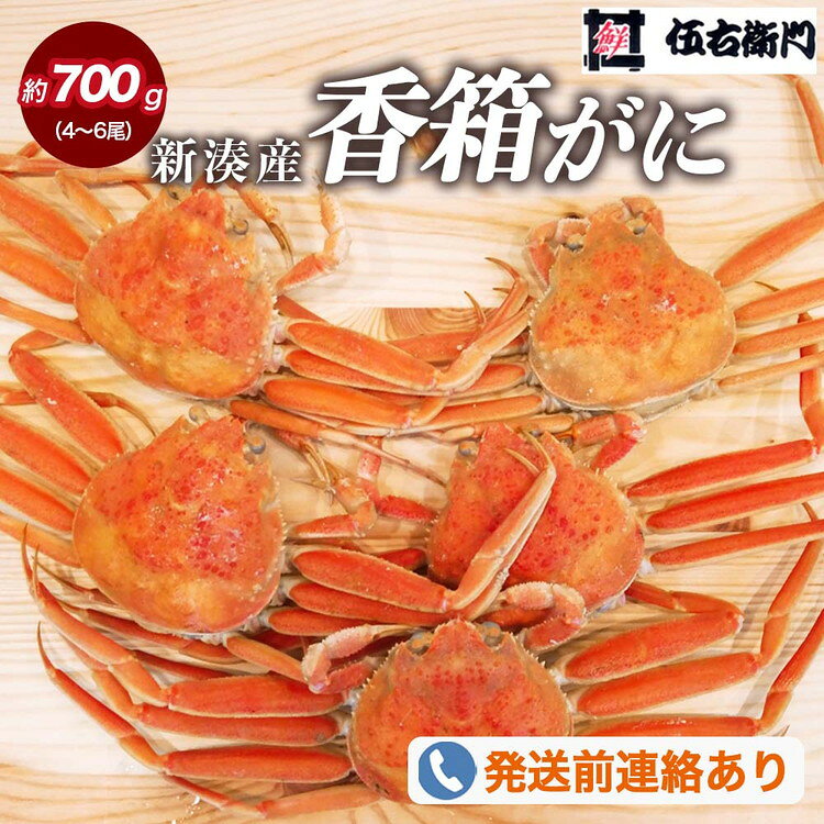 【ふるさと納税】【伍右衛門】新湊産香箱がに4～6尾（計約700g） ※2026年11月～発送 ※発送まで1か月以上かかる場合があります。