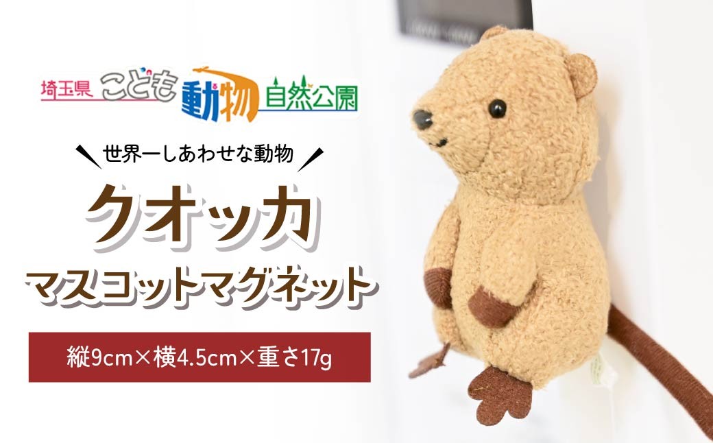 
                  クオッカマスコット マグネット 1個 | マグネット 磁石 ぬいぐるみ クオッカ こども動物自然公園 プレゼント オリジナル グッズ ホビー 動物 かわいい クオッカグッズ 埼玉県こども動物自然公園 埼玉県 東松山市 
                