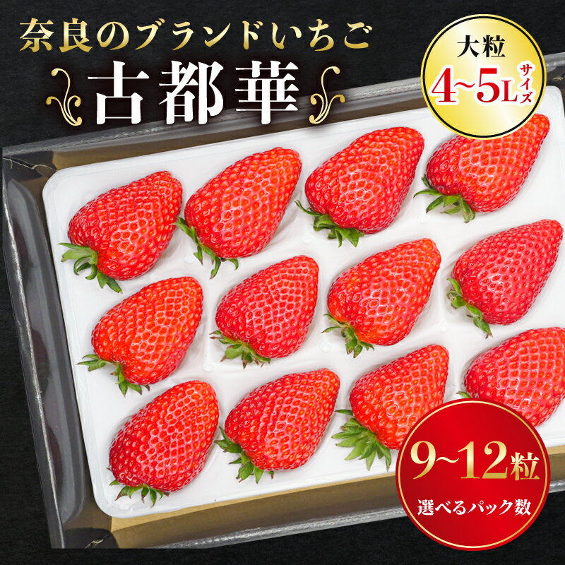 【ふるさと納税】 いちご 古都華 大粒 ことか 9~12粒 1~3セット 4~5Lサイズ 古都華 選べる容量 化粧箱 数量限定 苺 イチゴ 季節限定 旬 完熟 大粒 フルーツ 果物 スイーツ スムージー ケーキ 産地直送 新鮮 贈答 お歳暮 ギフト プレゼント 古都華カンパニー 奈良県 奈良市