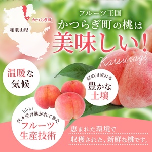 桃 和歌山の桃 約2kg（6個~9個）【2027年6月20頃～順次発送予定】（お届け日指定不可）【kgr001B】