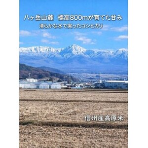 【令和7年産】信州八ヶ岳山麗 長野県産コシヒカリ 玄米　10kg(10kg×1袋)【1719533】
