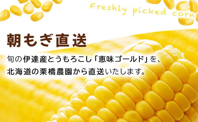 先行予約 【 2025年 発送 】北海道 朝もぎ とうもろこし 恵味 ゴールド L-LLサイズ 10本 スイート コーン トウモロコシ とうきび 旬 完熟 野菜 採れたて 朝採り 甘い めぐみ 産地直