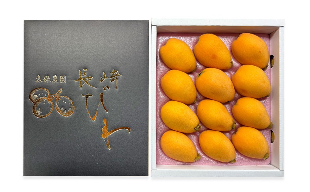長崎市産びわ500g L玉サイズ（12個入） 贈答用箱入り