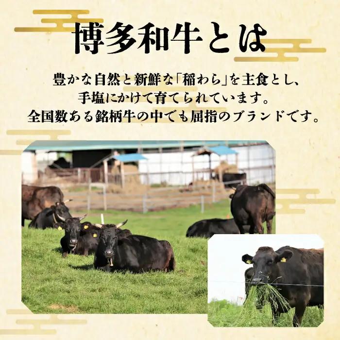 【全2回定期便】博多和牛 サーロインステーキ 200g×3枚 VBK008 ステーキ 3枚