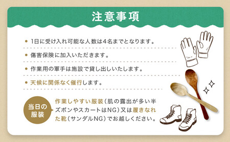 グリーンウッドワーク体験（2名様）【レギュラーコース】 | 木 木工体験 手道具作製 五感 自然 飛騨高山 高山エース旅行センターLQ018