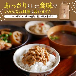 【先行予約】令和7年産 越後妙高命の矢 こしいぶき 5.1kg 新潟県 上越 妙高産 米どころ 白米 精米 コメ お米 こめ ご飯 ごはん ライス 弁当 小分け 大容量 お取り寄せ 送料無料 妙高市